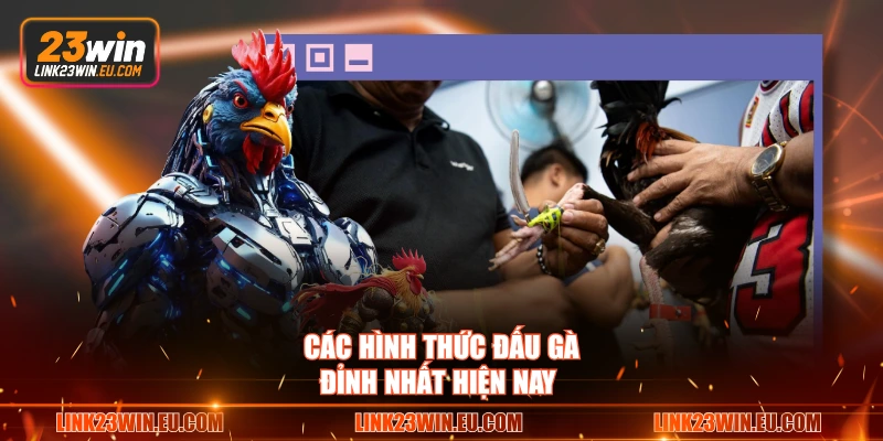 Các hình thức đấu gà đỉnh nhất hiện nay
