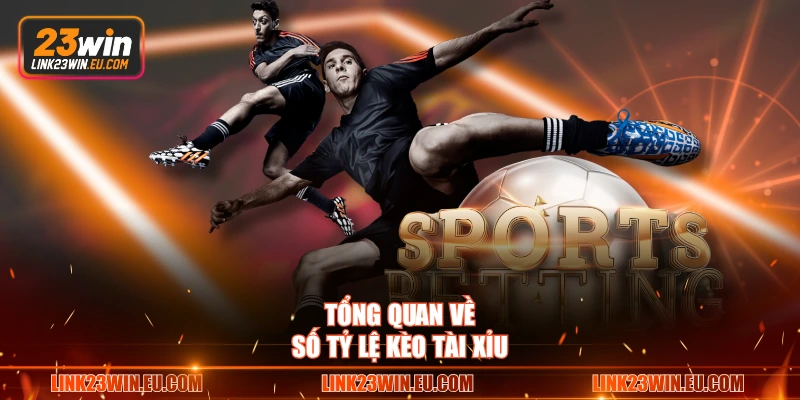 Tổng quan về số tỷ lệ kèo tài xỉu