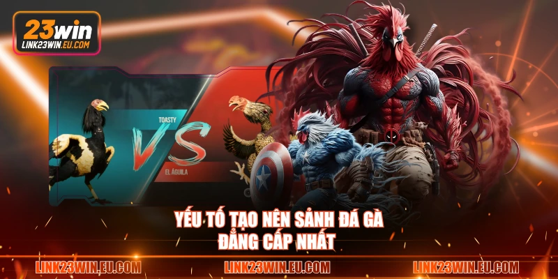 Yếu tố tạo nên sảnh đá gà đẳng cấp nhất
